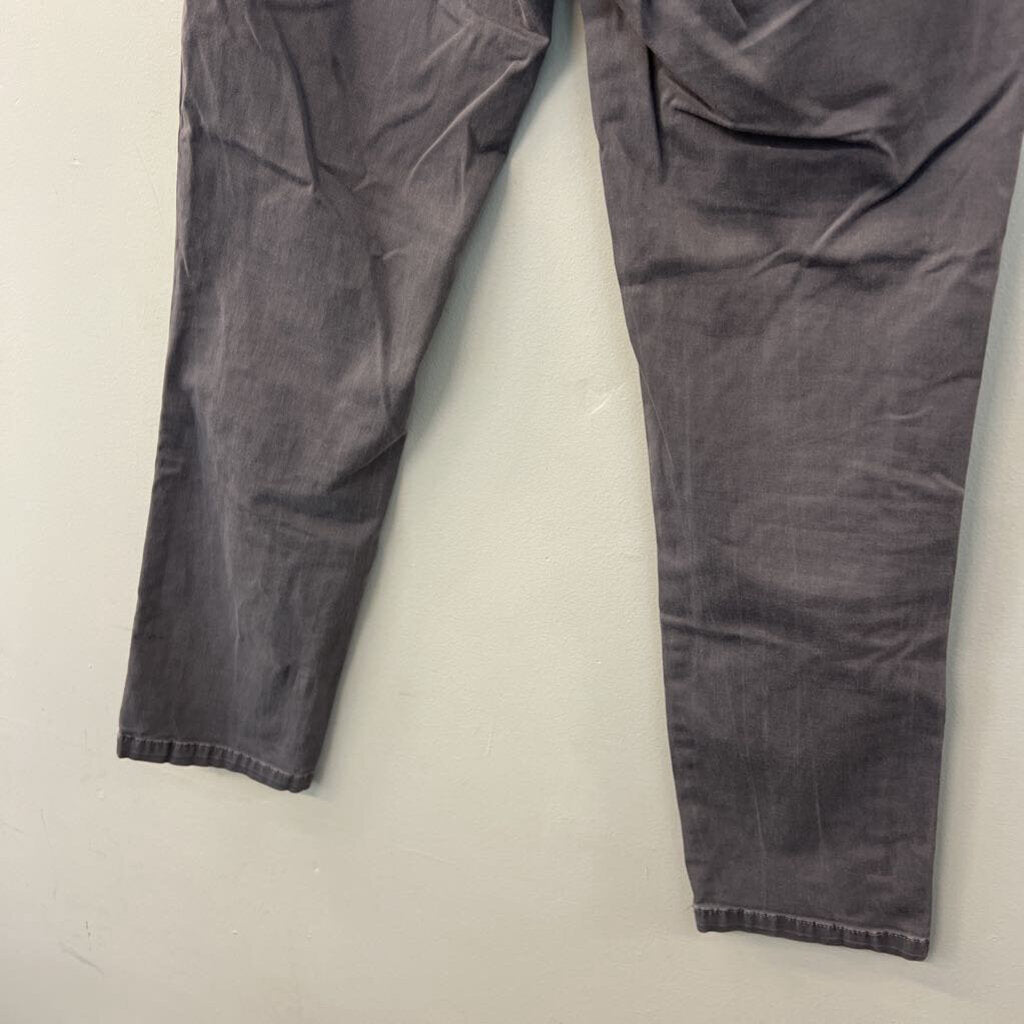 Chino by Anthropologie Grey Relaxed Fit Pants 27