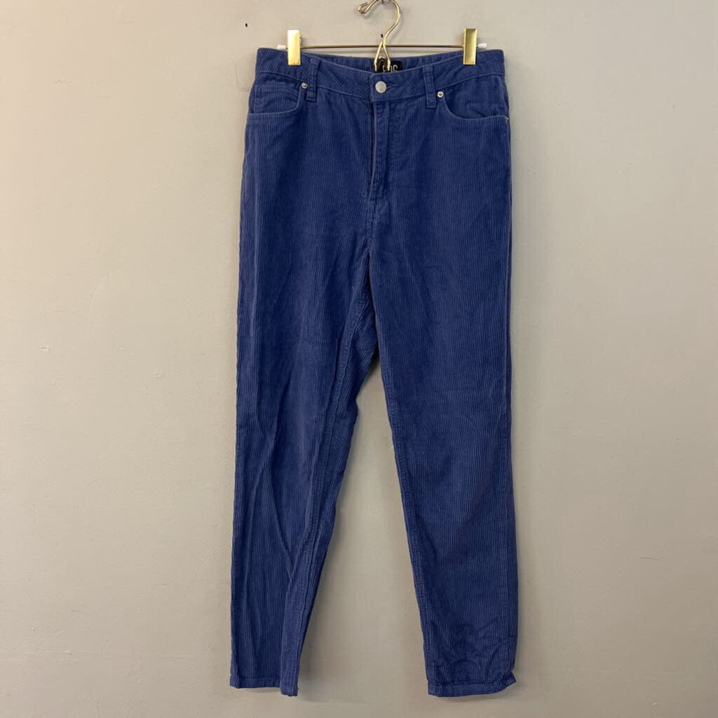 BDG Blue Corduroy Straight Leg Pants 27