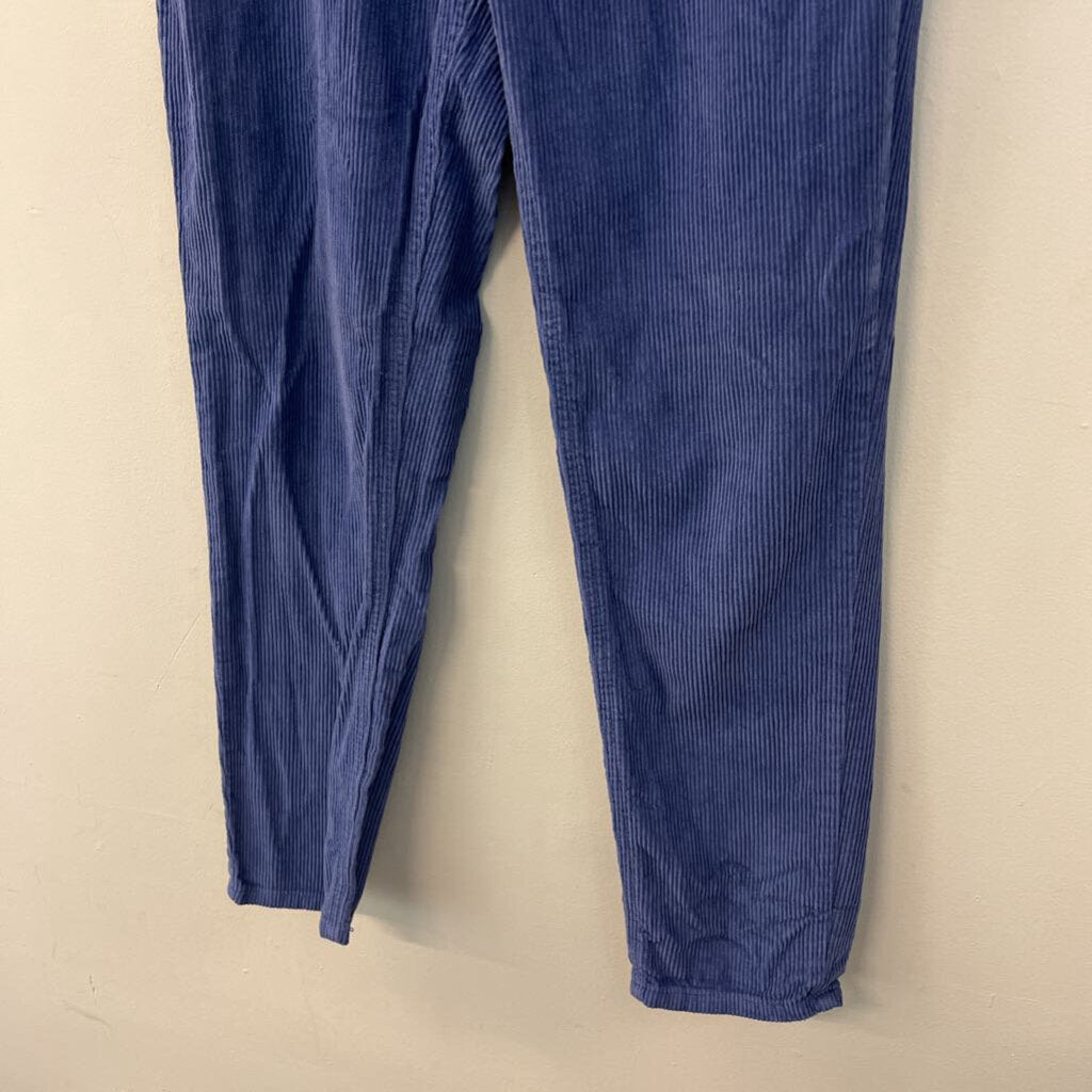 BDG Blue Corduroy Straight Leg Pants 27