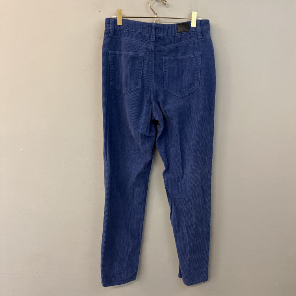 BDG Blue Corduroy Straight Leg Pants 27