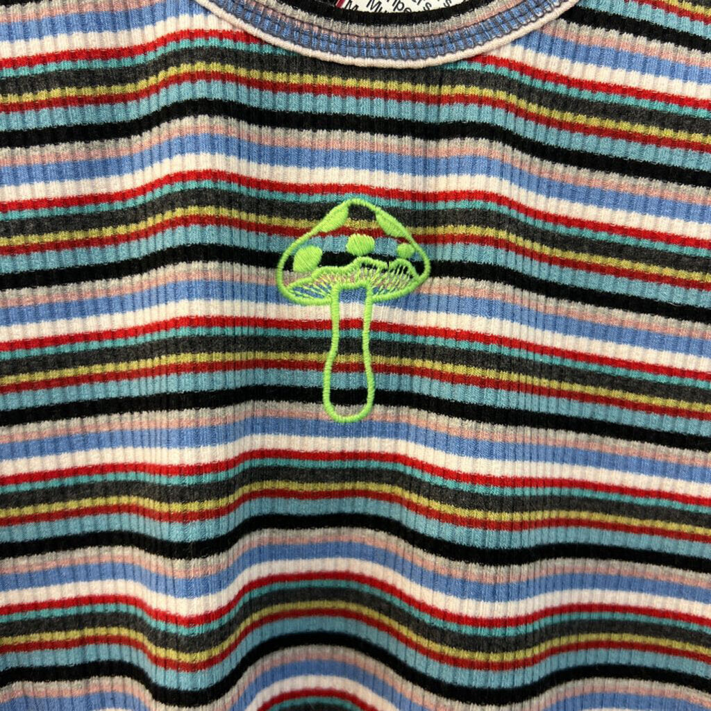 Urban Outfitters Blue/ Multi Striped Cropped Mushroom Tank Medium