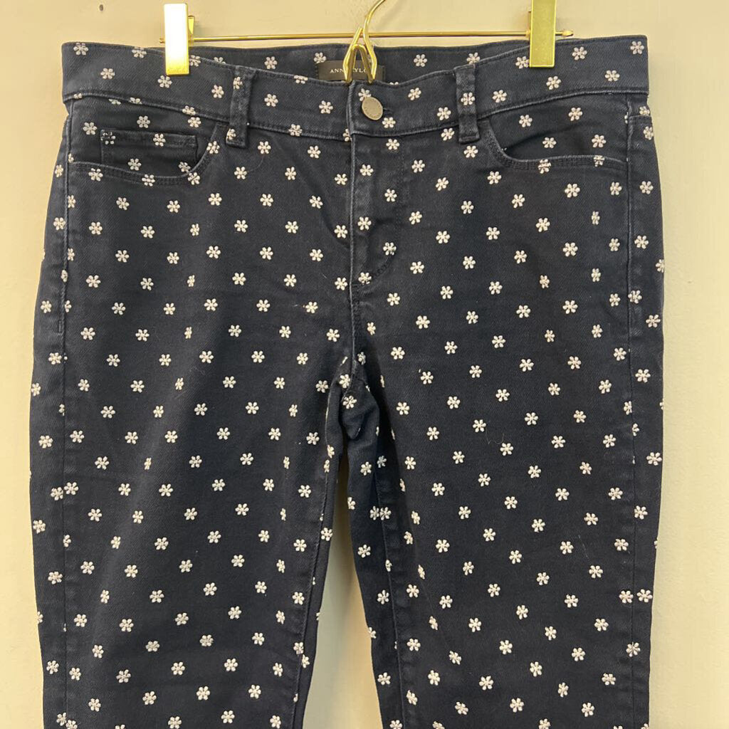 Ann Taylor Blue/ Grey Embroidered Flower Skinny Jeans 8