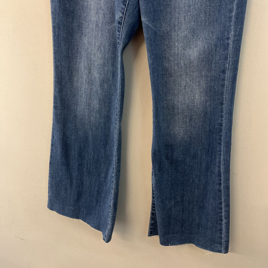 Judy Blue Medium Wash Flare Leg Jeans 30