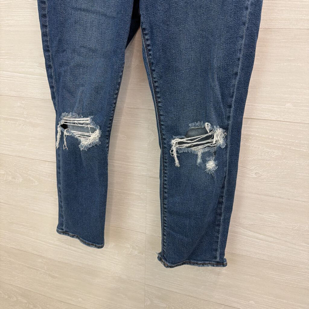 American Eagle Medium Wash Mom Jeans 10 Short