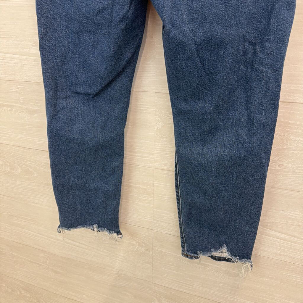 American Eagle Medium Wash Mom Jeans 10 Short