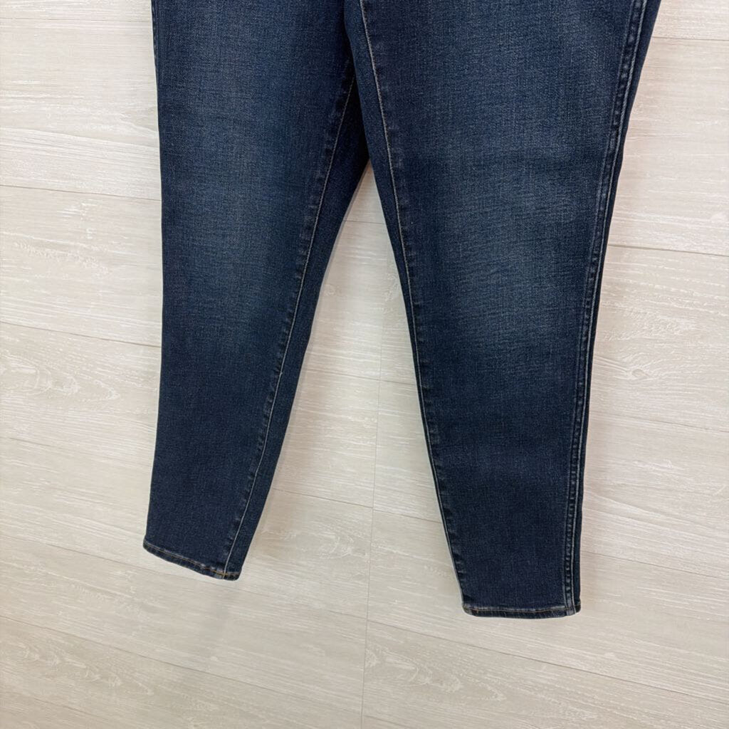 Madewell Dark Wash Curvy High Rise Skinny Jeans 29