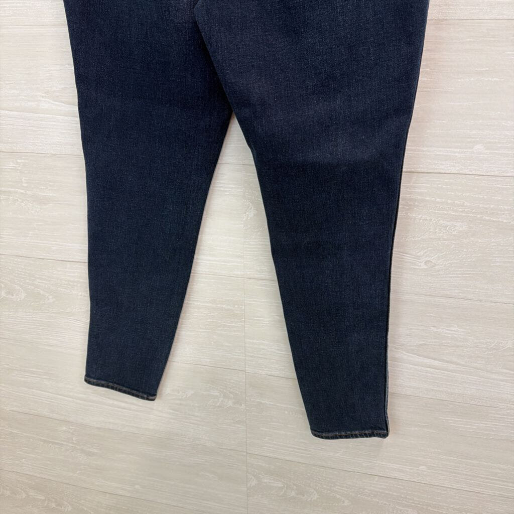Madewell Dark Wash Curvy High Rise Skinny Jeans 29
