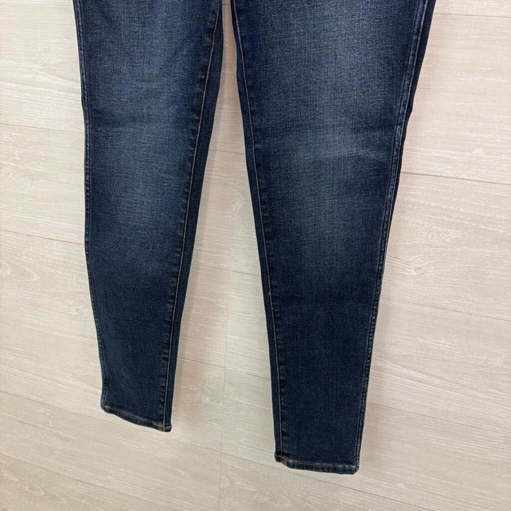 Madewell Dark Wash 10" High Rise Skinny Jeans 29