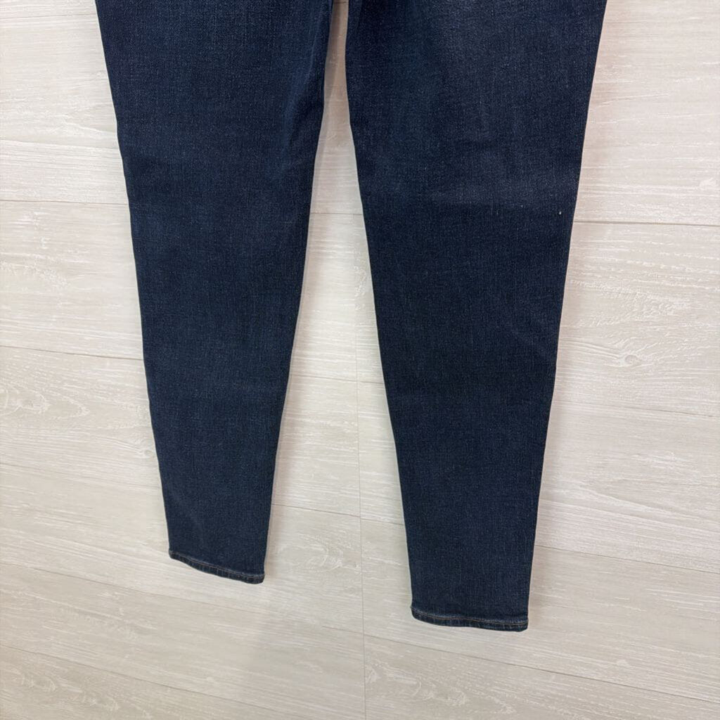 Madewell Dark Wash 10" High Rise Skinny Jeans 29