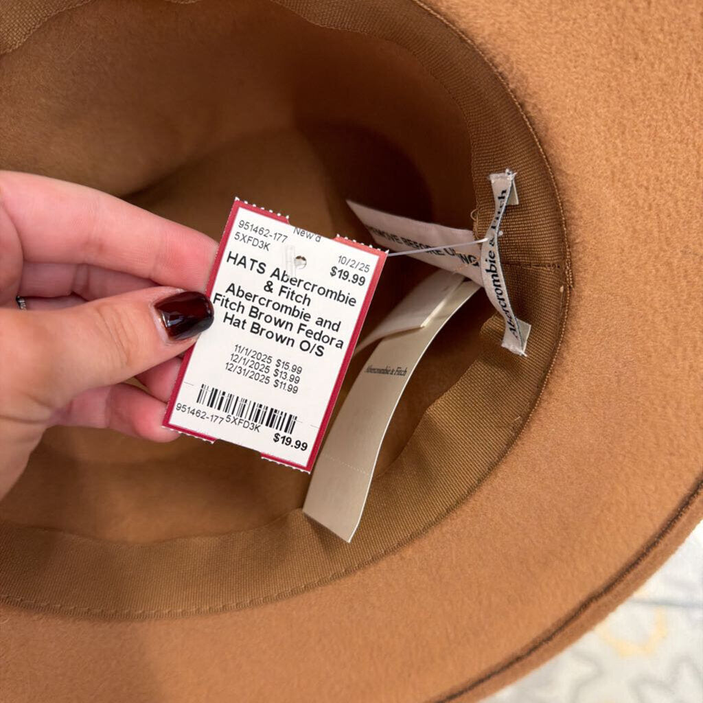 Abercrombie and Fitch Brown Fedora Hat