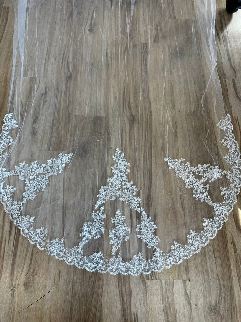 Lace Edge Cathedral Length Veil