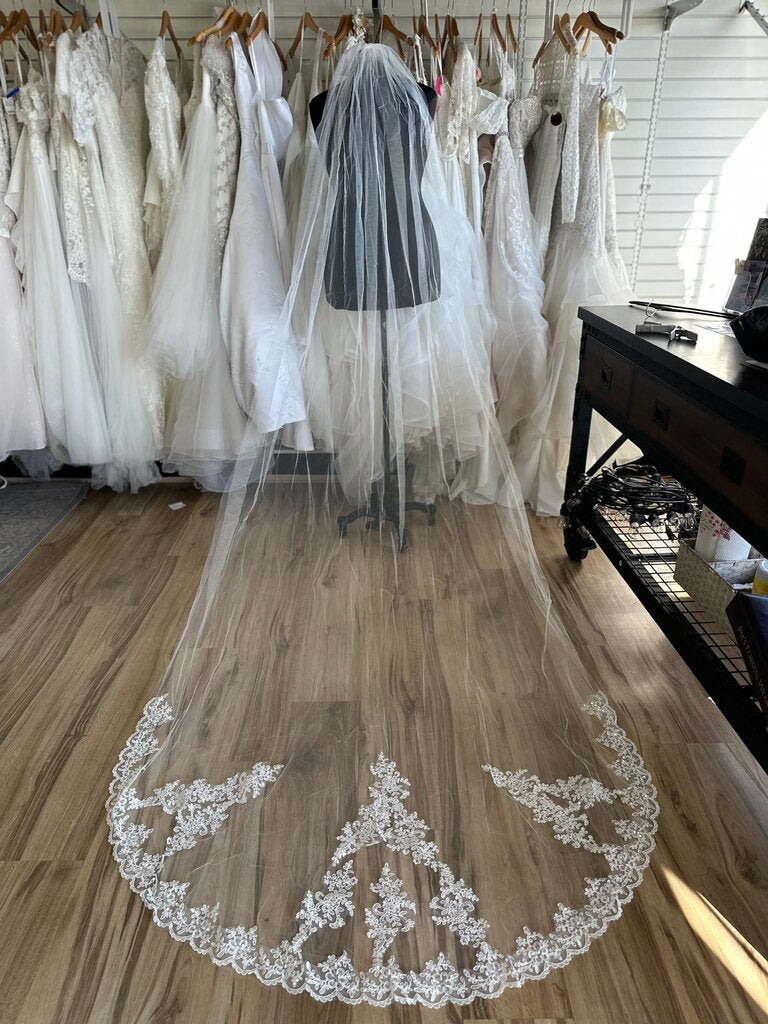Lace Edge Cathedral Length Veil