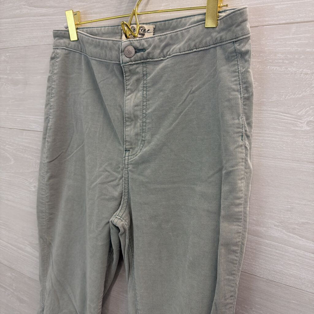 We the Free Blue Flare Corduroy Pants 29