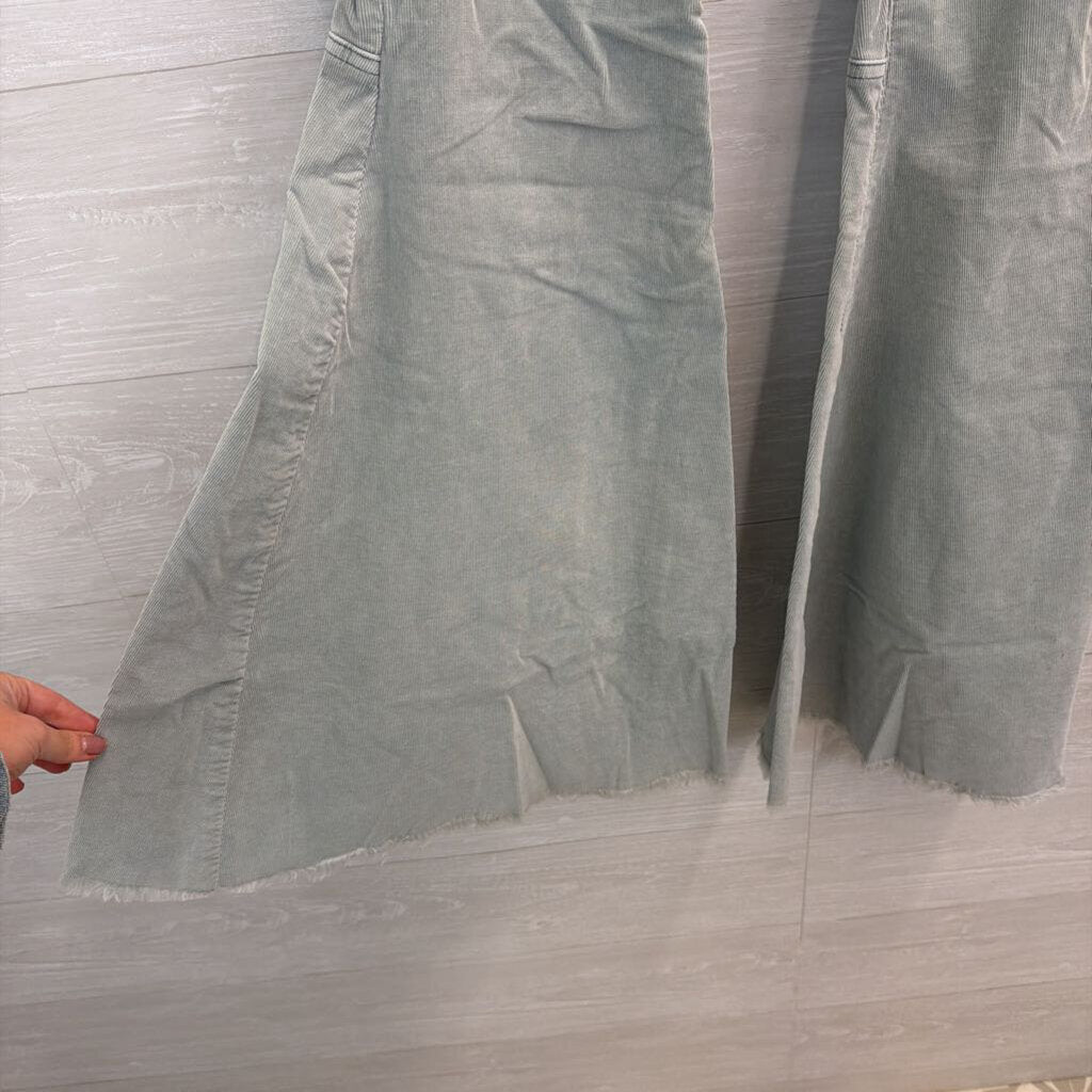 We the Free Blue Flare Corduroy Pants 29