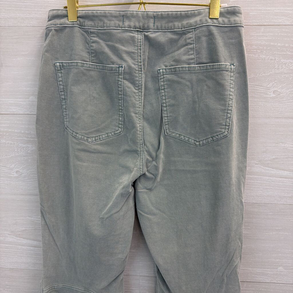 We the Free Blue Flare Corduroy Pants 29