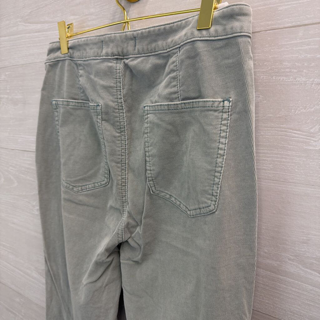 We the Free Blue Flare Corduroy Pants 29