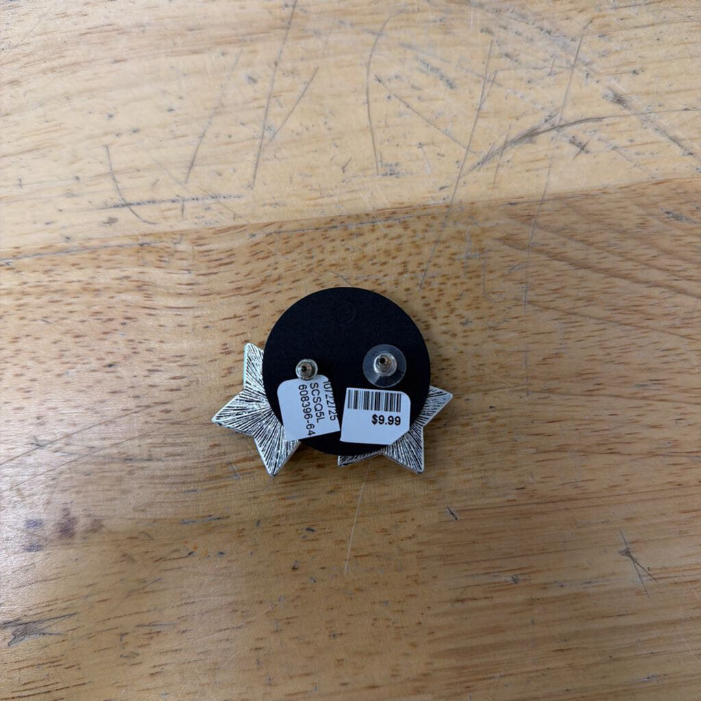 Silver/ Turquoise Star Stud Earrings