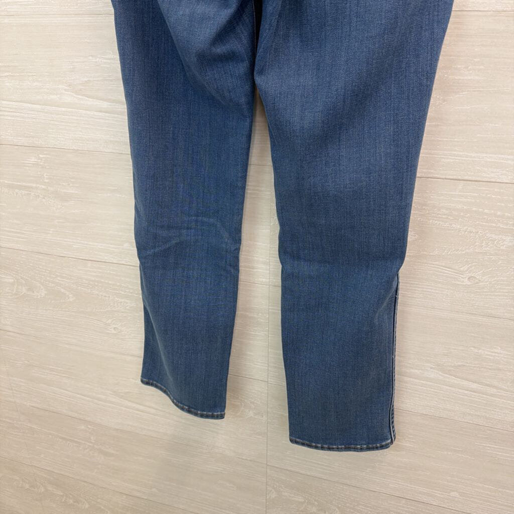 Madewell Medium Wash Curvy Stovepipe Jeans 23