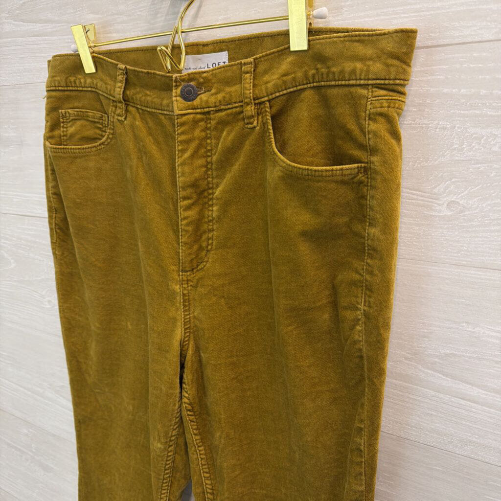 Loft Velvet Skinny Pants 12