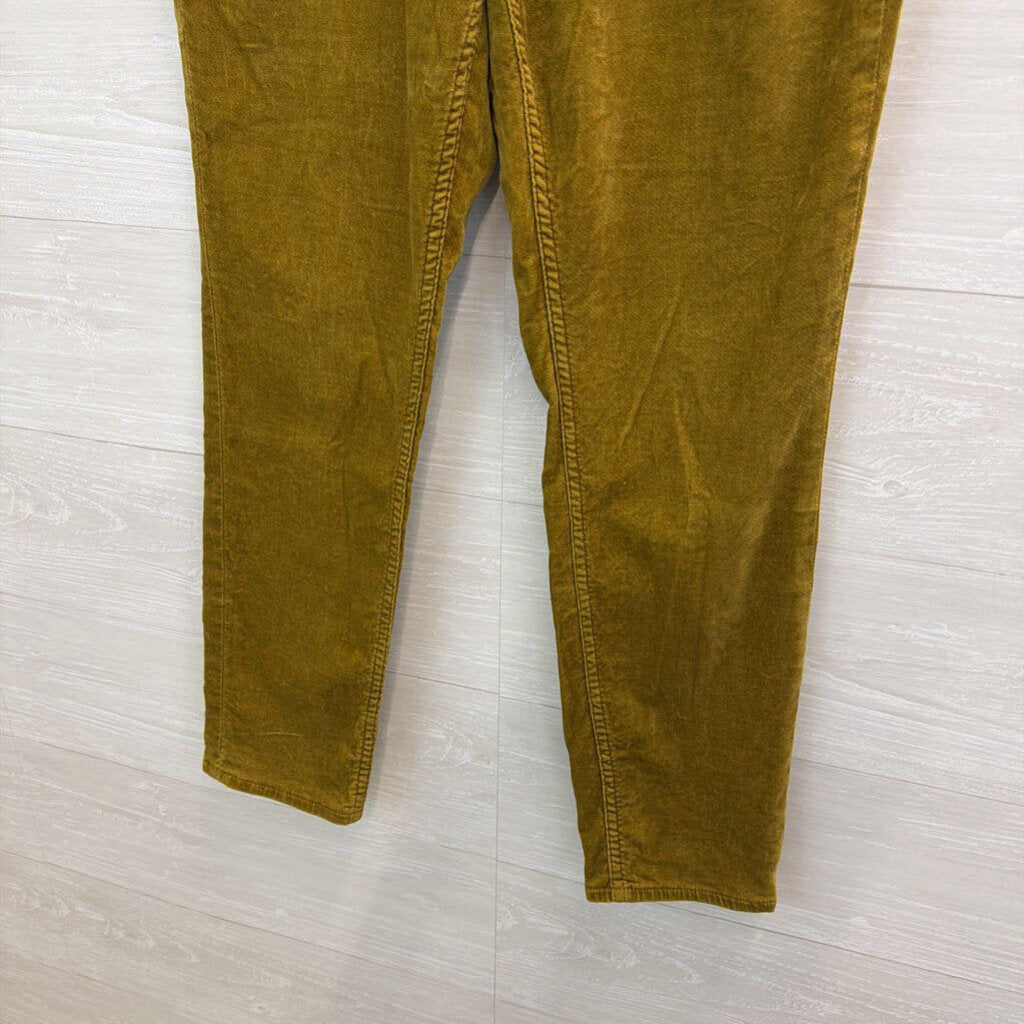 Loft Velvet Skinny Pants 12