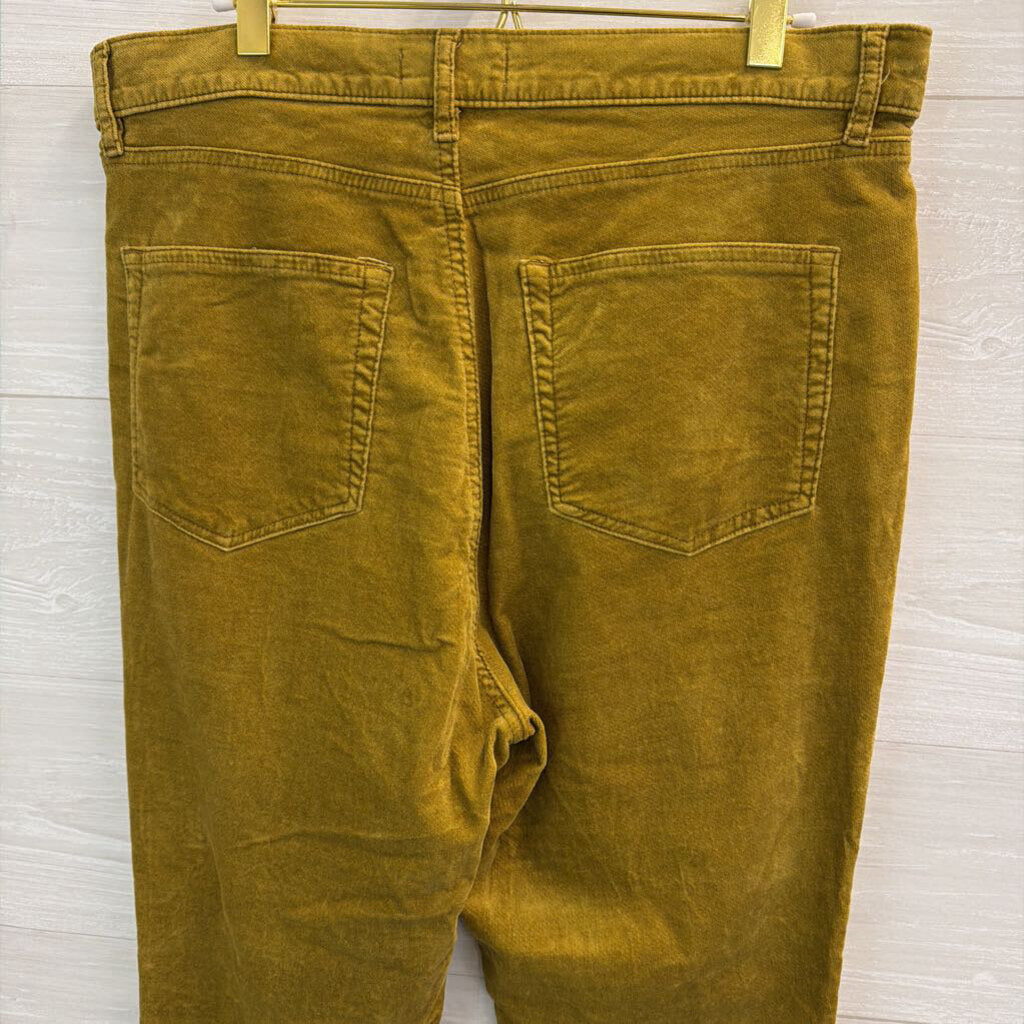 Loft Velvet Skinny Pants 12