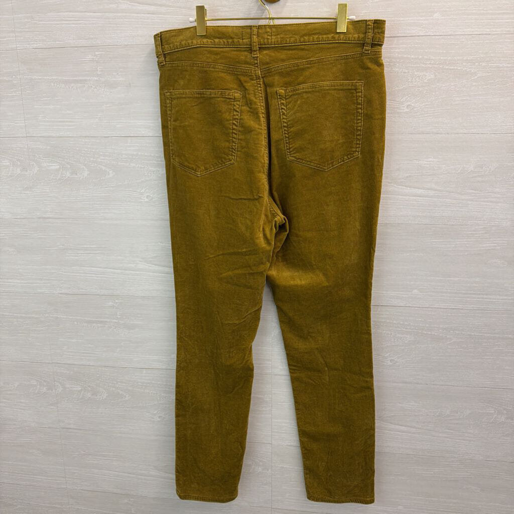 Loft Velvet Skinny Pants 12