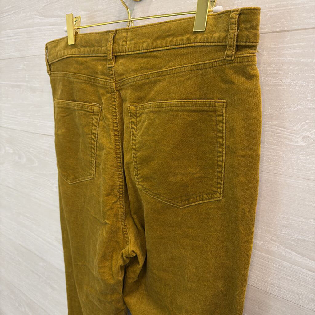 Loft Velvet Skinny Pants 12