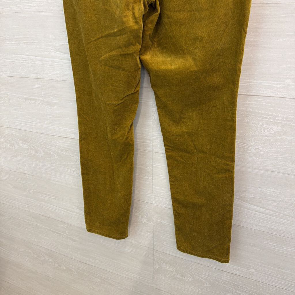Loft Velvet Skinny Pants 12