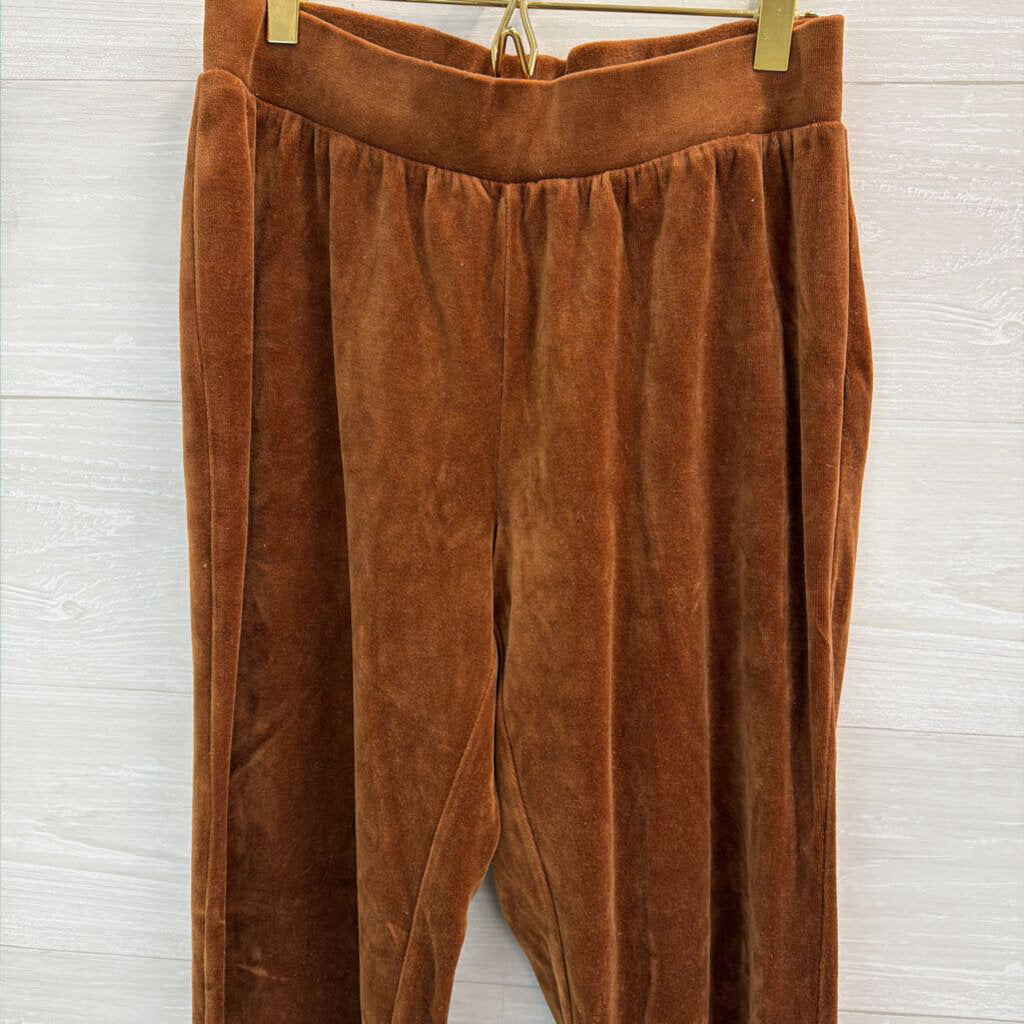 Vintage MetroStyle Brown Velour Leopard Trim Jacket/ Pants Set Small Tall