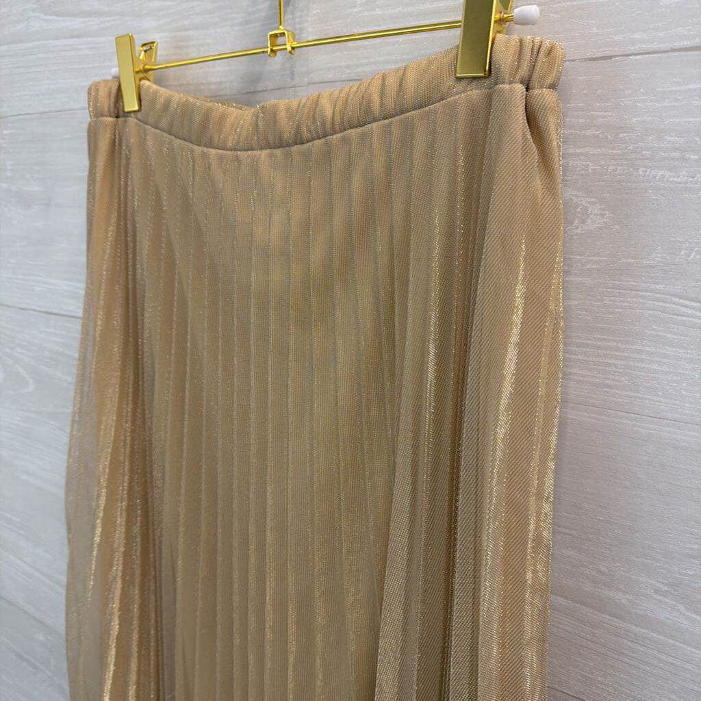 MSK Gold/ Black Color Block Pleated Maxi Skirt 6