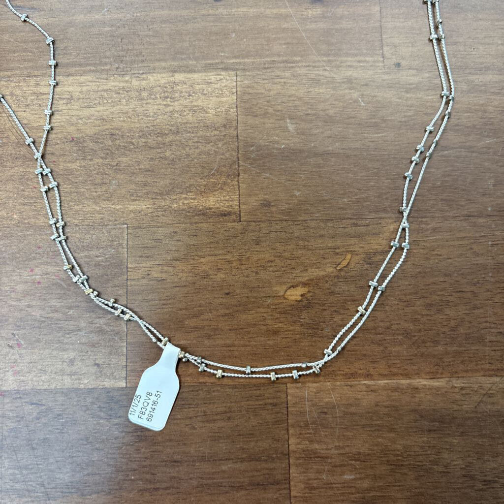Silver Long Layered Necklace