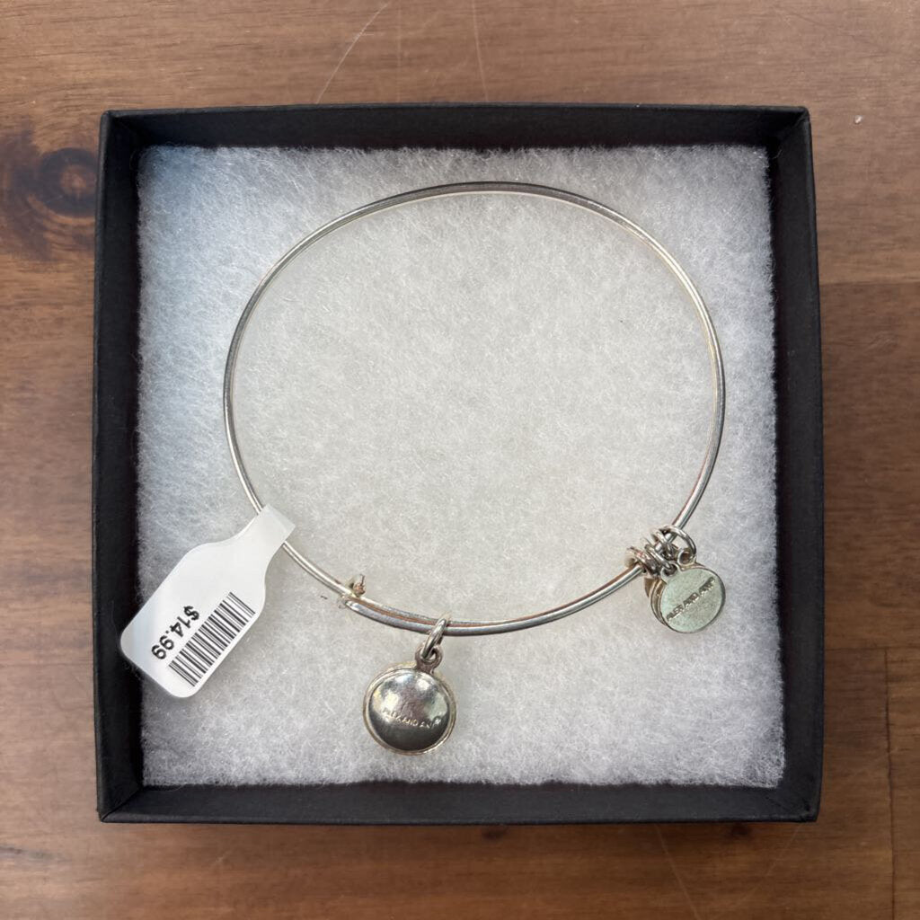 Alex and Ani Silver/ Blue Stone Charm Bracelet