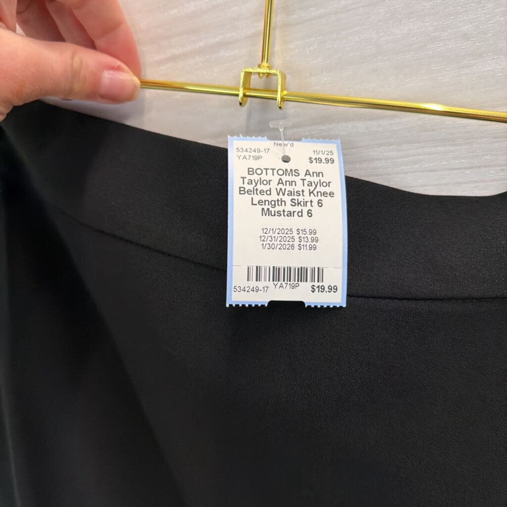Ann Taylor Belted Waist Knee Length Skirt 6
