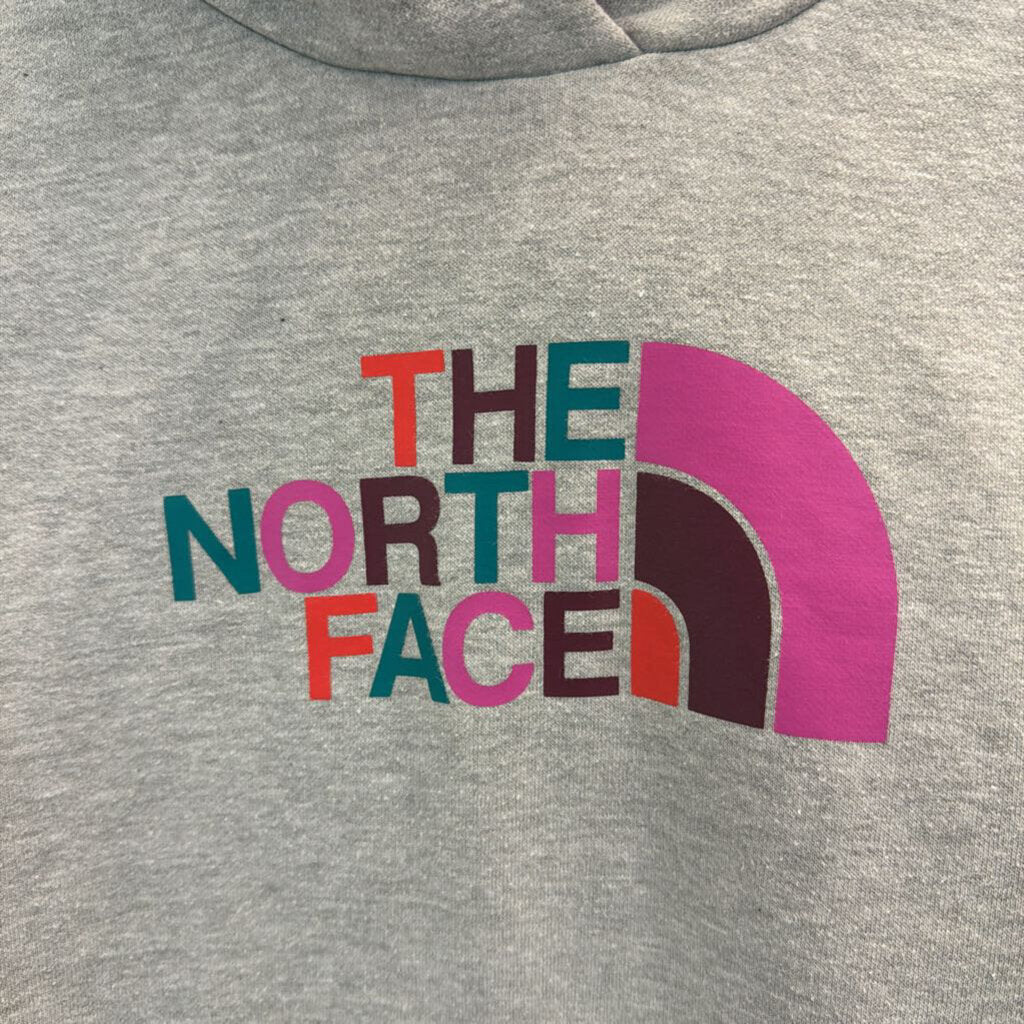 The North Face Grey/ Multi Logo Hoodie Extra Large