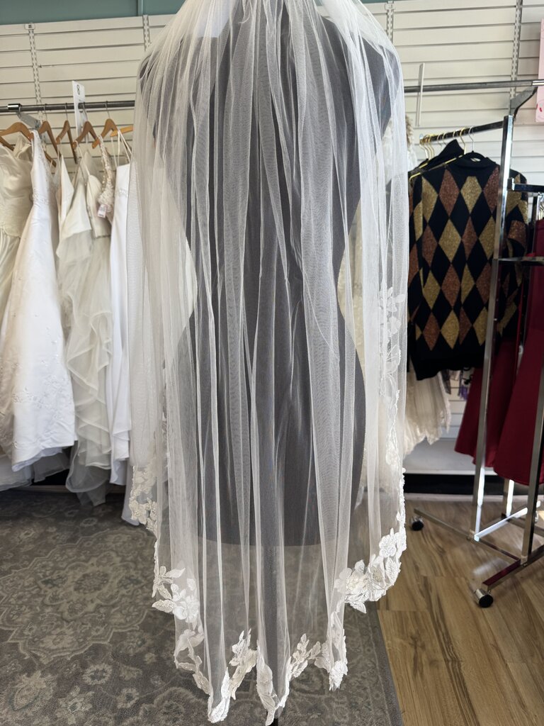 Ivory Beaded Lace Edge Veil