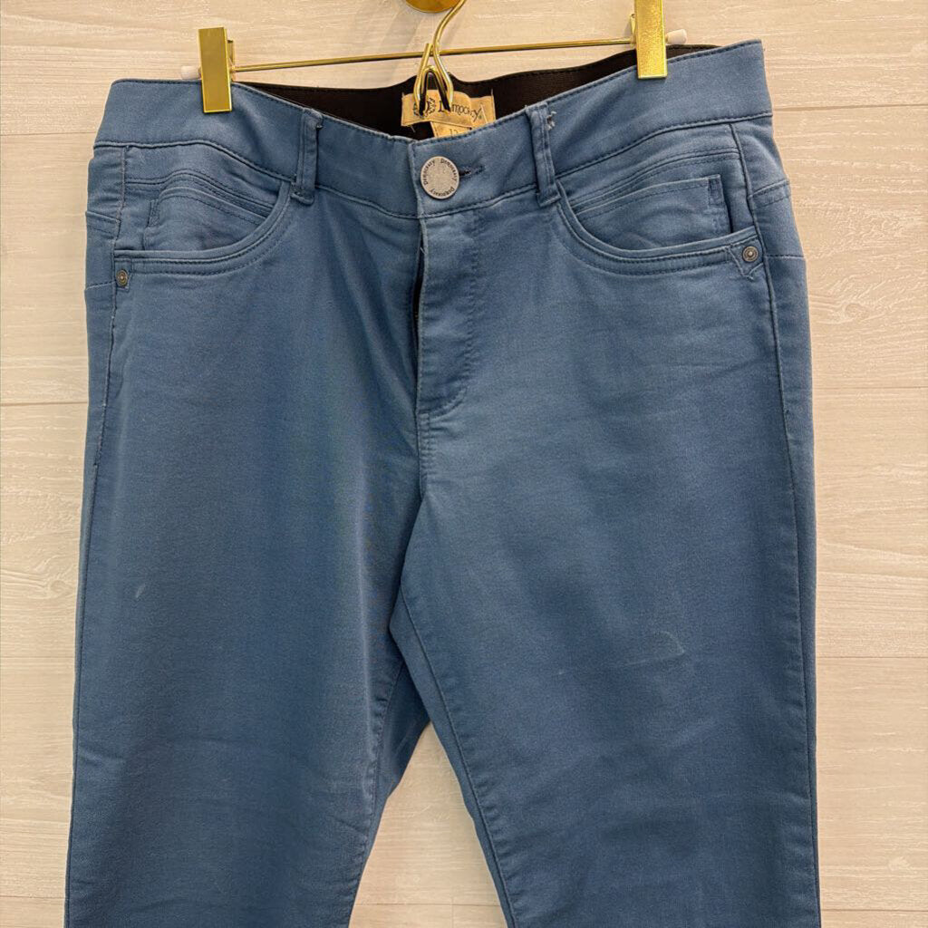 Democracy Blue Skinny Leg Pants 12