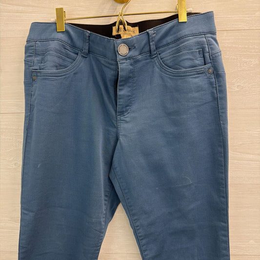 Democracy Blue Skinny Leg Pants 12