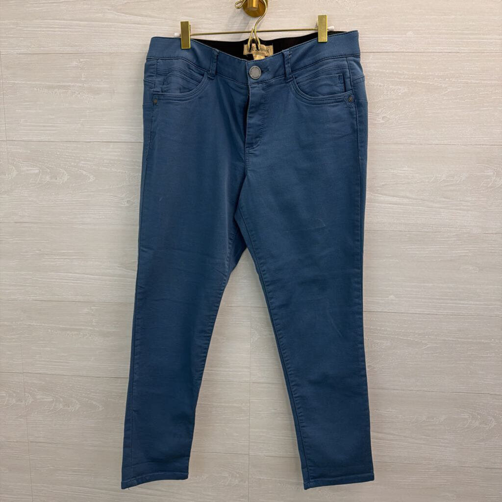 Democracy Blue Skinny Leg Pants 12