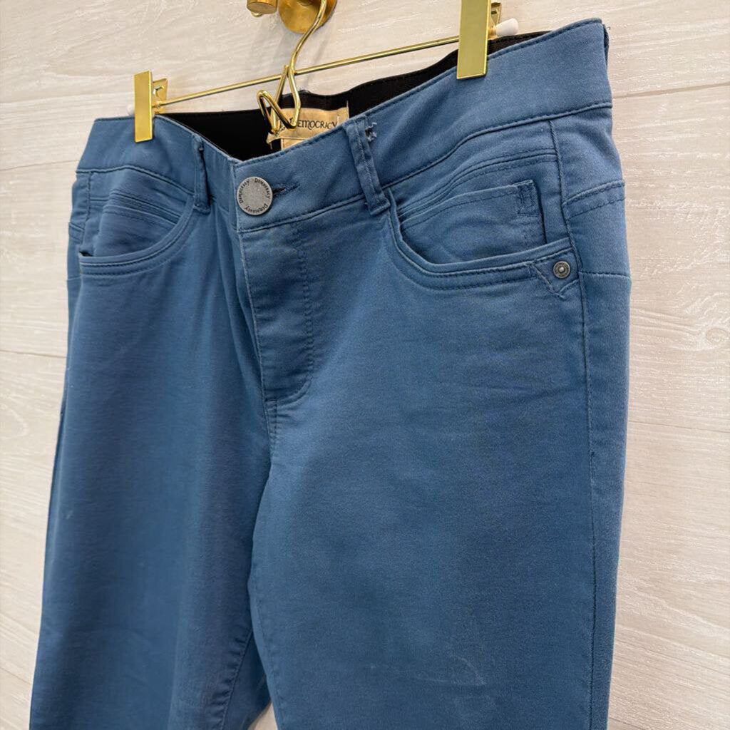 Democracy Blue Skinny Leg Pants 12