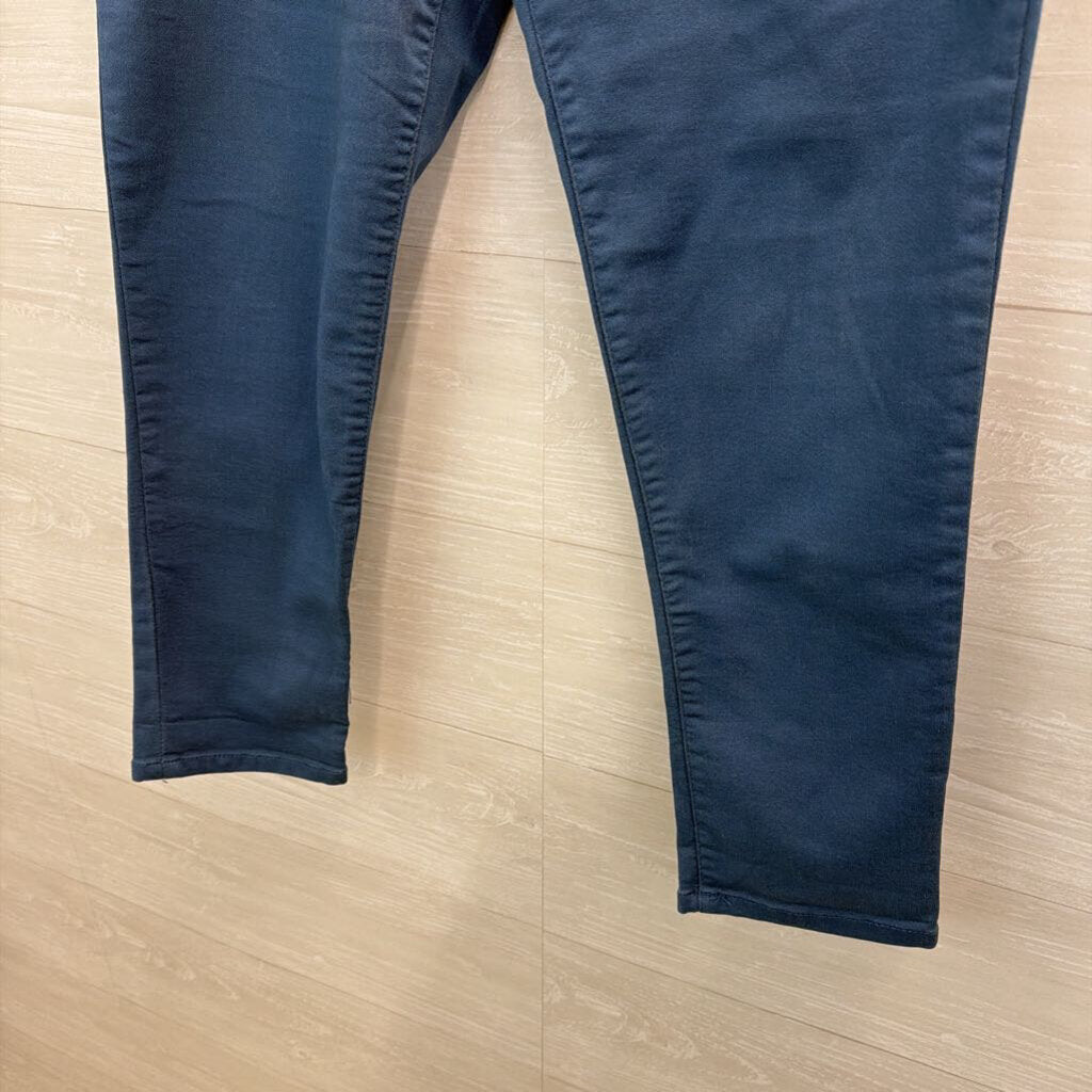 Democracy Blue Skinny Leg Pants 12
