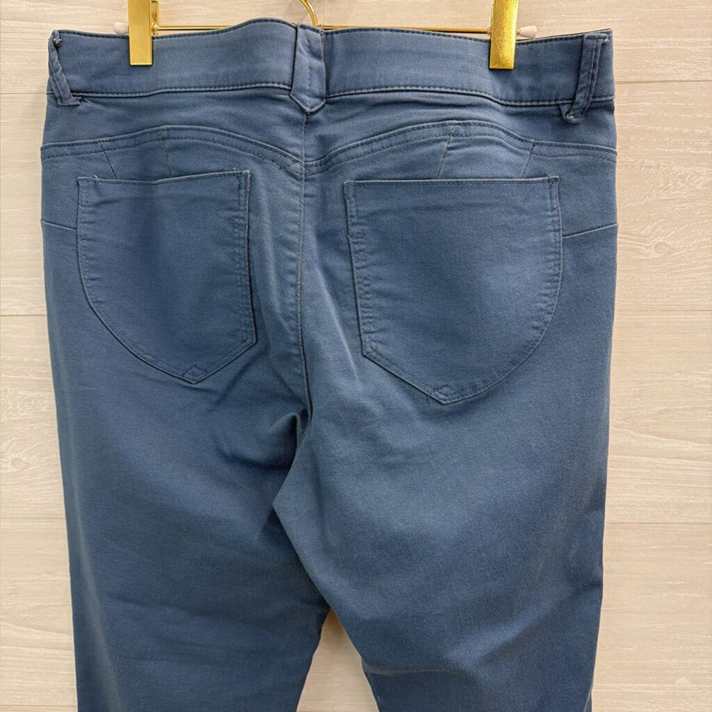 Democracy Blue Skinny Leg Pants 12