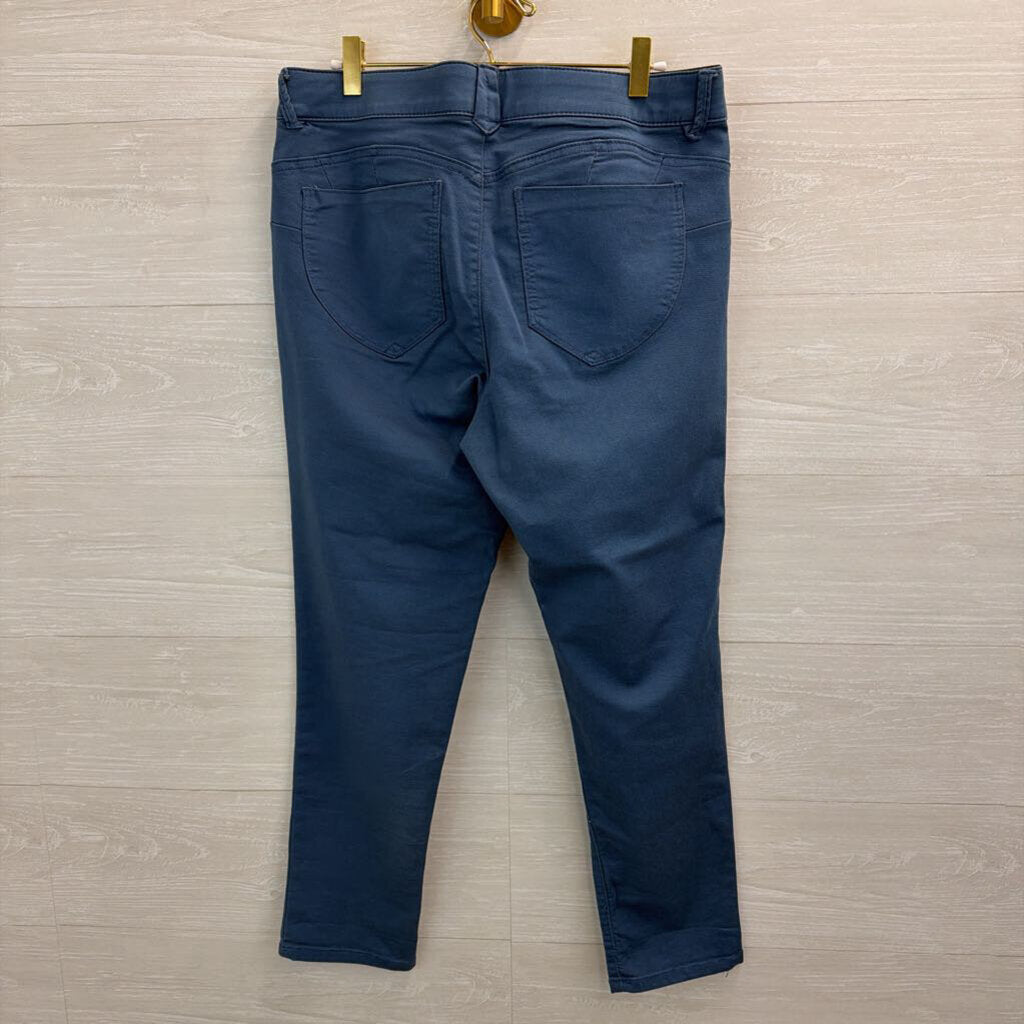 Democracy Blue Skinny Leg Pants 12
