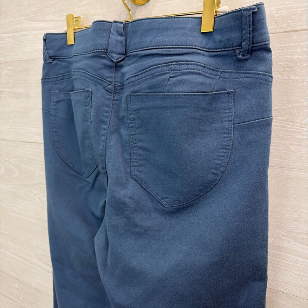 Democracy Blue Skinny Leg Pants 12