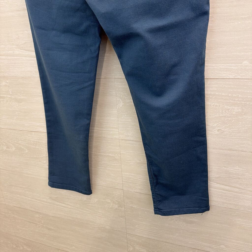 Democracy Blue Skinny Leg Pants 12
