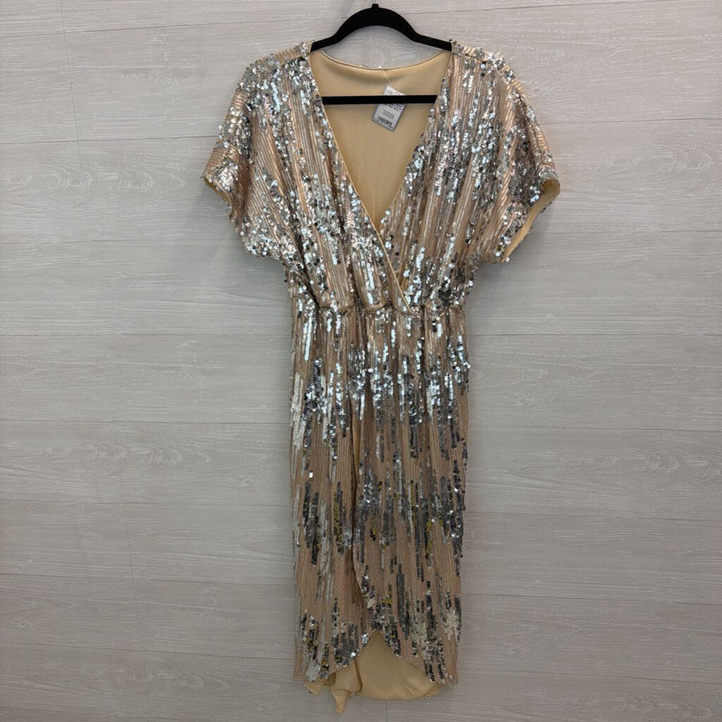Gold/ Silver Sequin Short Sleeve Dress Large