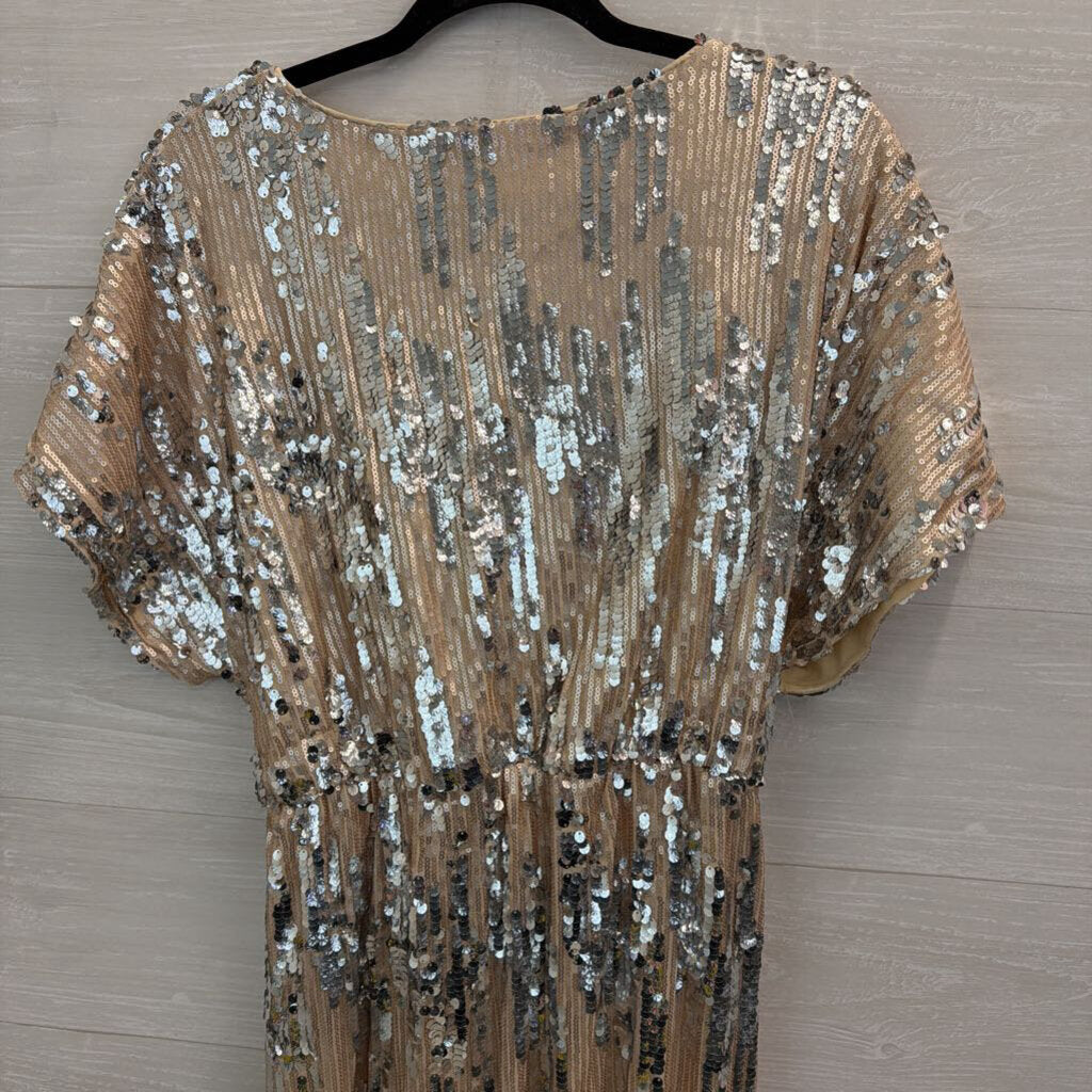 Gold/ Silver Sequin Short Sleeve Dress XXL
