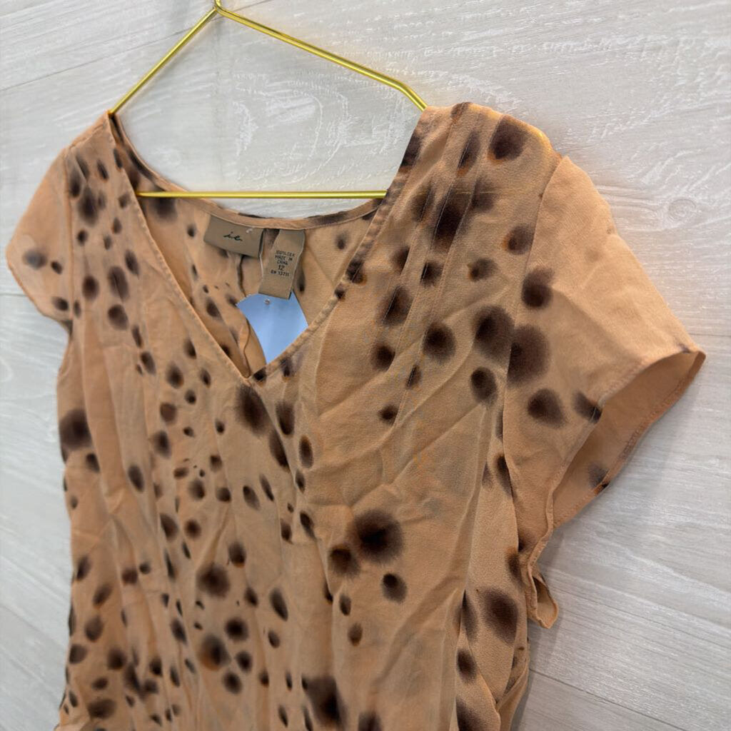 I.E. 100% Silk Brown Dot Print Sheer Short Sleeve Top 12