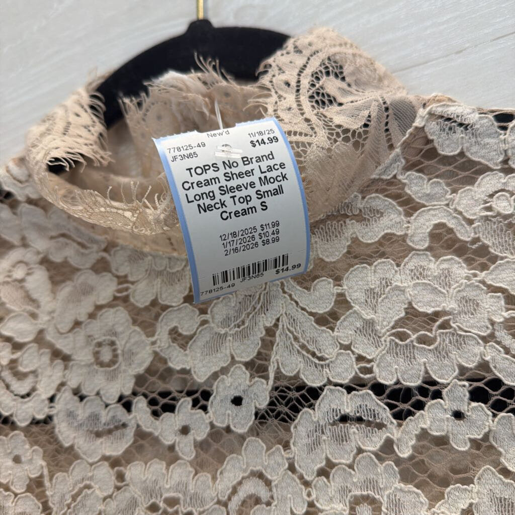 Cream Sheer Lace Long Sleeve Mock Neck Top Small