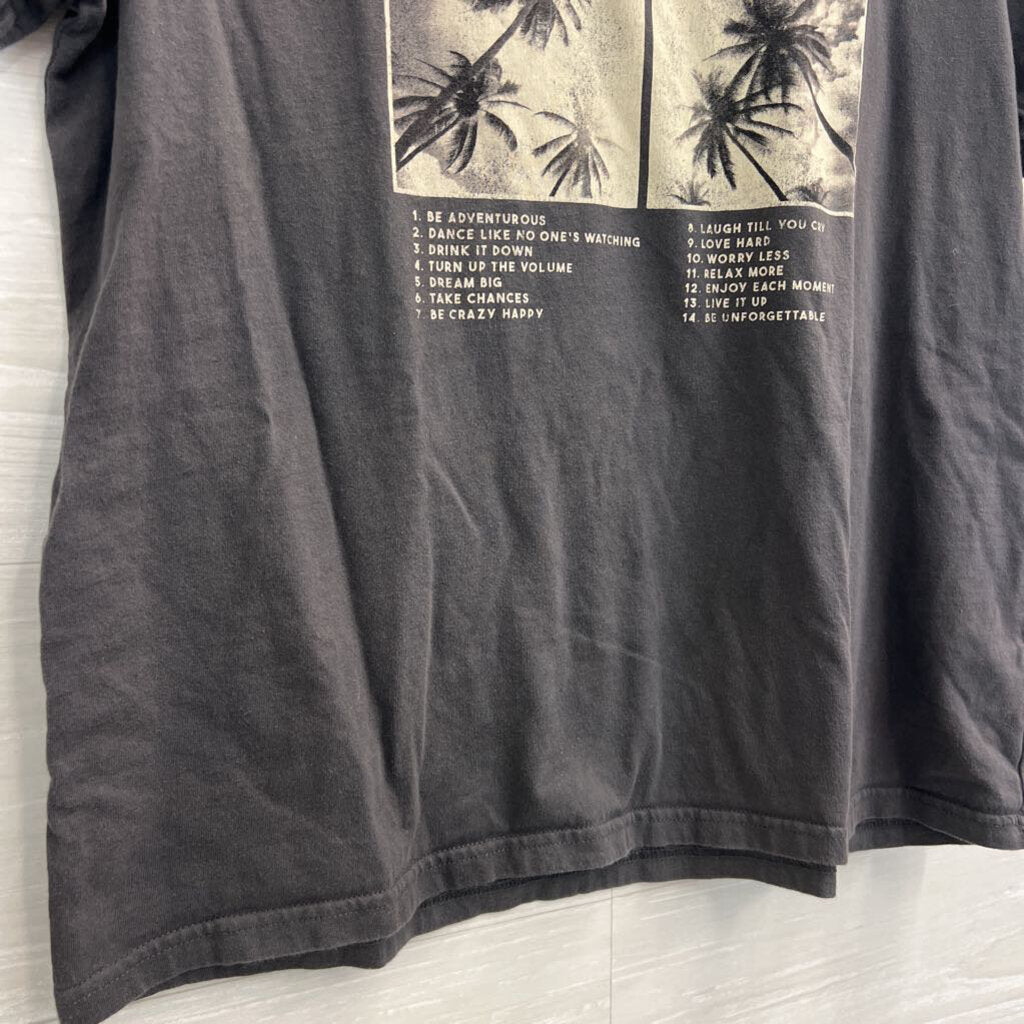 Wild Fox Grey/ Beige Wild and Free Short Sleeve Graphic Tee Large