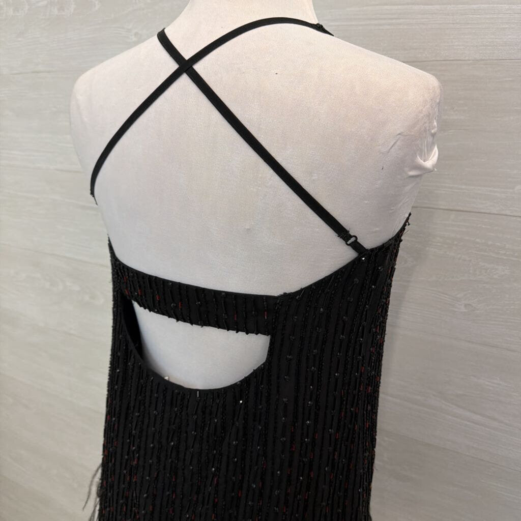 Parker Black/ Red Beaded Feather Hem Short Formal Dress Medium